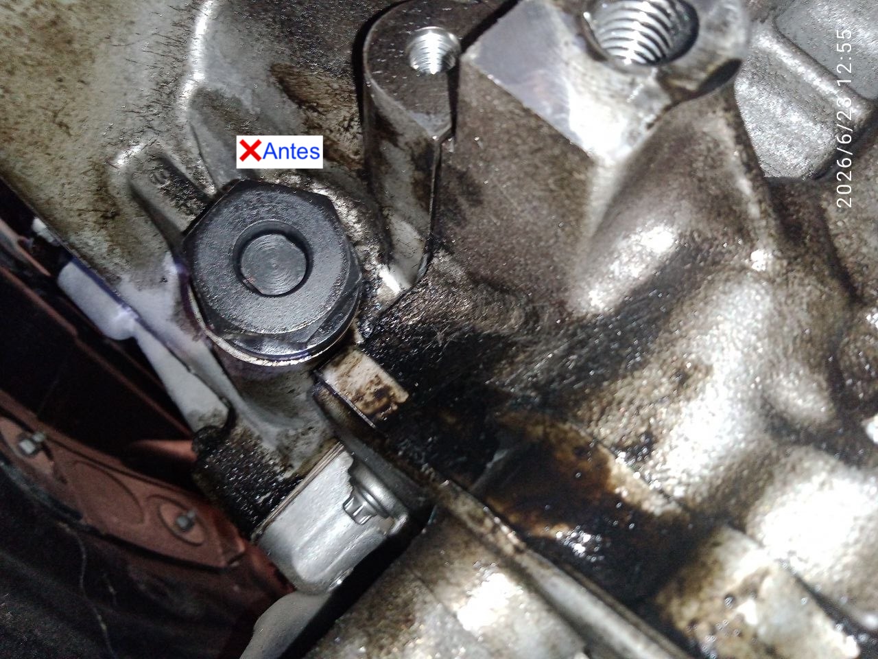 Sustitución de la cadena de distribución en BMW 320d F31 (N47D20C, 184 CV): diagnóstico, proceso de reparación y componentes utilizados